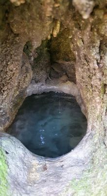 Premi aqui per a veure la imatge a grand�ria completa