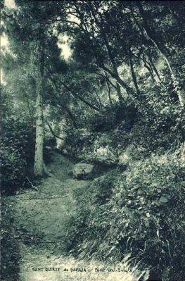 Premi aqui per a veure la imatge a grand�ria completa