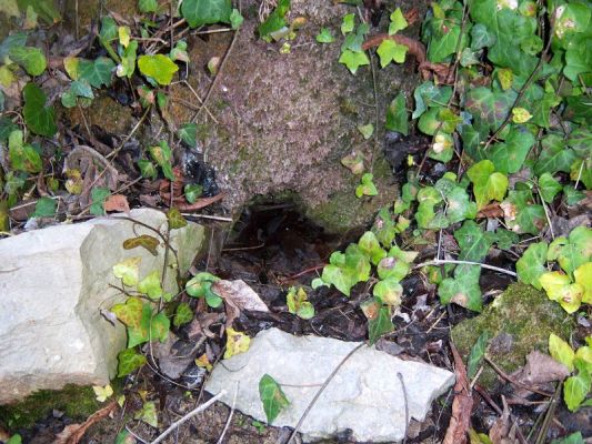 Premi aqui per a veure la imatge a grand�ria completa