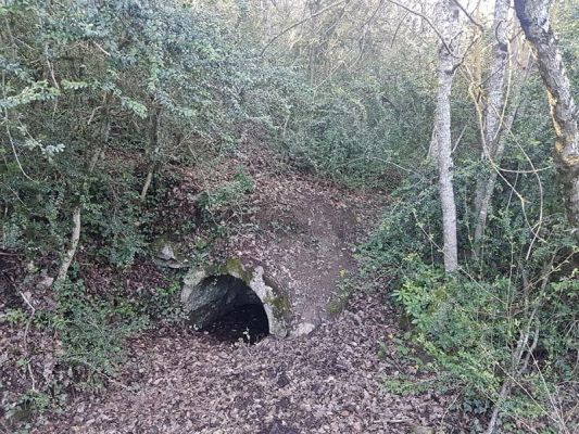 Premi aqui per a veure la imatge a grand�ria completa