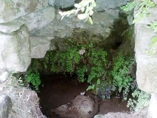 Premi aqui per a veure la imatge a grand�ria completa