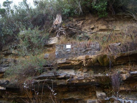 Premi aqui per a veure la imatge a grand�ria completa