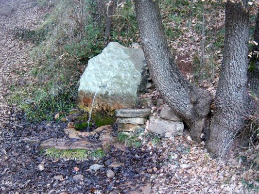 Premi aqui per a veure la imatge a grand�ria completa