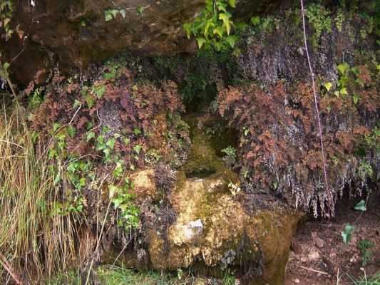 Premi aqui per a veure la imatge a grand�ria completa