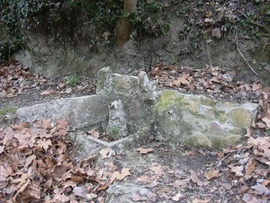 Premi aqui per a veure la imatge a grand�ria completa