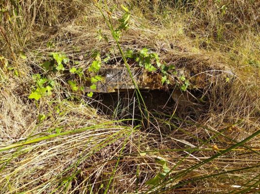 Premi aqui per a veure la imatge a grand�ria completa