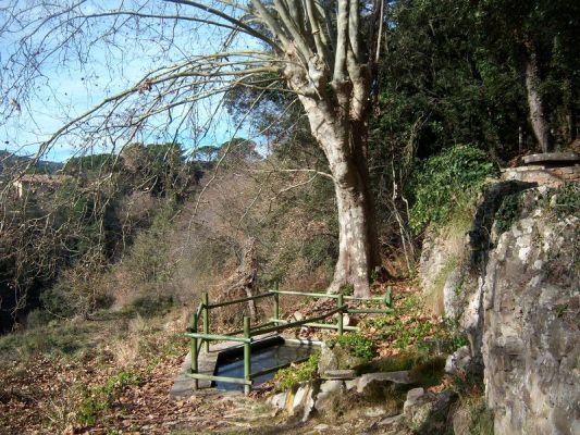 Premi aqui per a veure la imatge a grand�ria completa