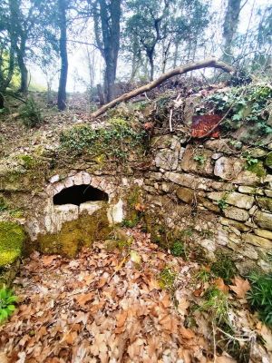 Premi aqui per a veure la imatge a grand�ria completa