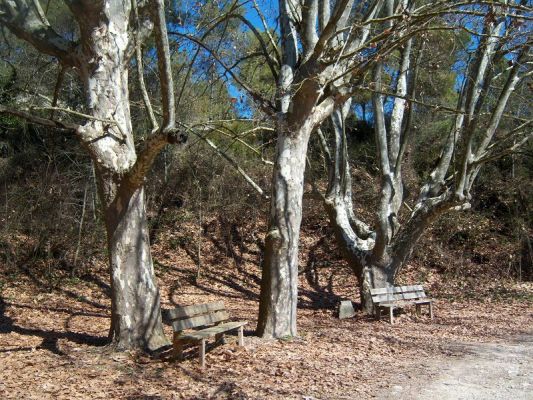 Premi aqui per a veure la imatge a grand�ria completa