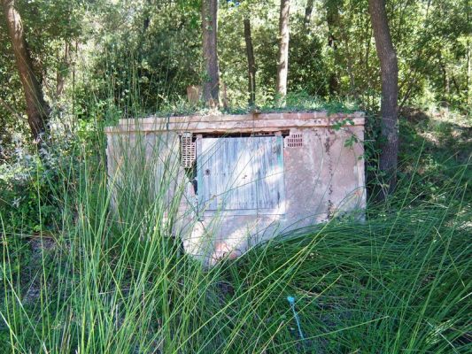 Premi aqui per a veure la imatge a grand�ria completa