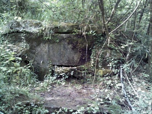 Premi aqui per a veure la imatge a grand�ria completa