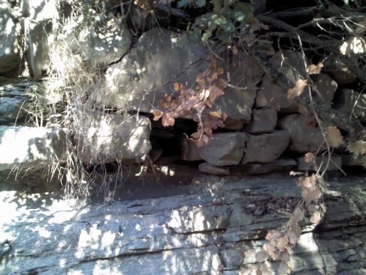 Premi aqui per a veure la imatge a grand�ria completa