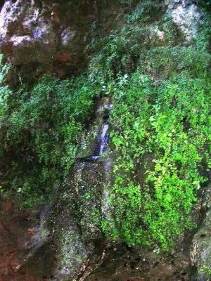 Premi aqui per a veure la imatge a grand�ria completa