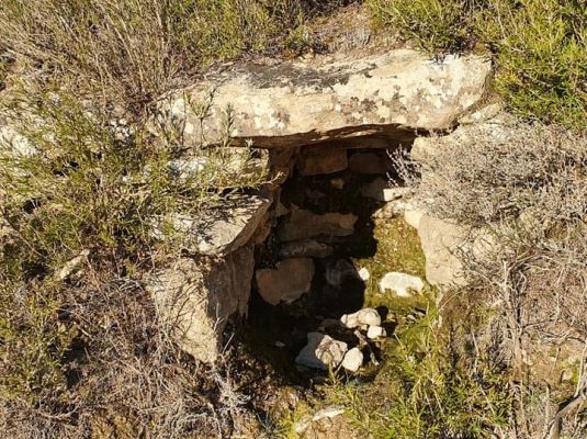 Premi aqui per a veure la imatge a grand�ria completa