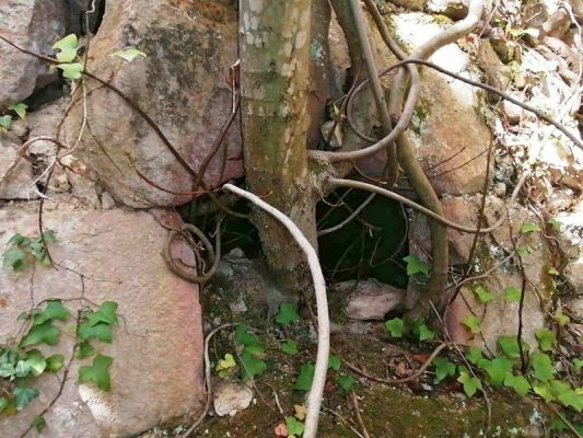 Premi aqui per a veure la imatge a grand�ria completa