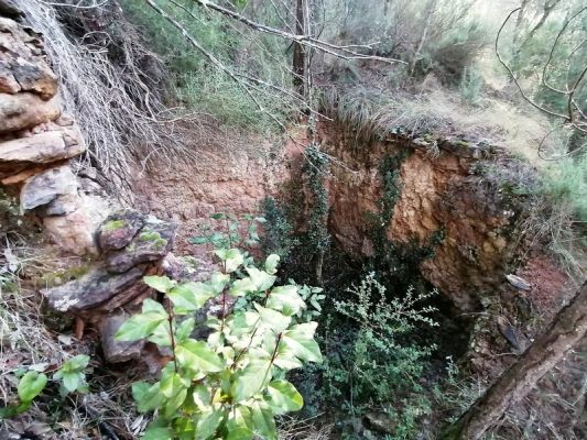 Premi aqui per a veure la imatge a grand�ria completa