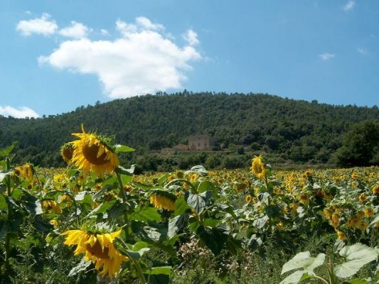 Premi aqui per a veure la imatge a grand�ria completa