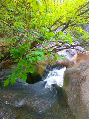 Premi aqui per a veure la imatge a grand�ria completa