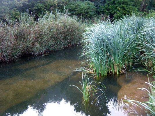 Premi aqui per a veure la imatge a grand�ria completa