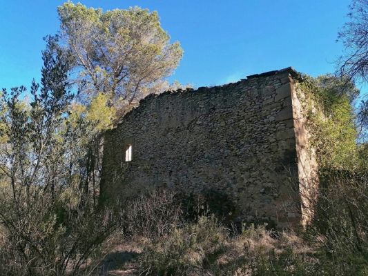 Premi aqui per a veure la imatge a grand�ria completa