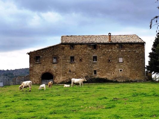 Premi aqui per a veure la imatge a grand�ria completa