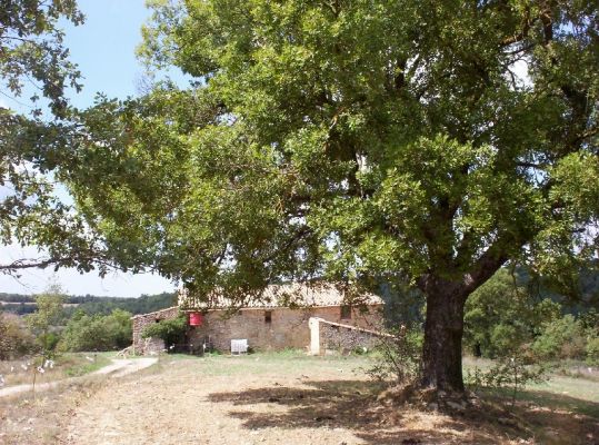 Premi aqui per a veure la imatge a grand�ria completa