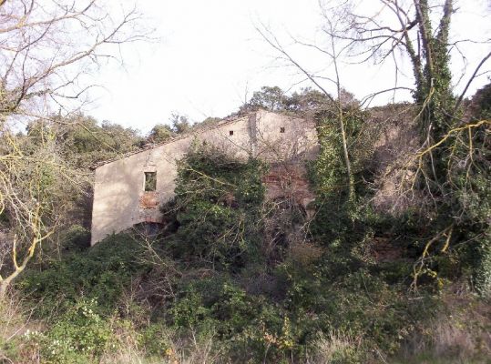 Premi aqui per a veure la imatge a grand�ria completa