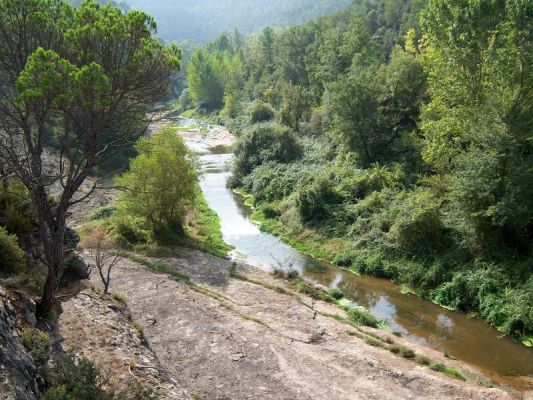 Premi aqui per a veure la imatge a grand�ria completa