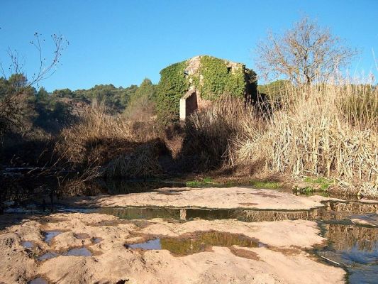 Premi aqui per a veure la imatge a grand�ria completa