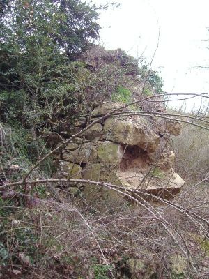 Premi aqui per a veure la imatge a grand�ria completa