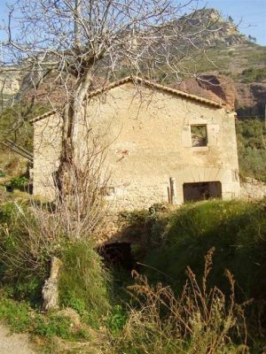 Premi aqui per a veure la imatge a grand�ria completa