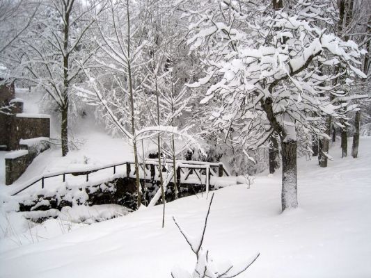 Premi aqui per a veure la imatge a grand�ria completa