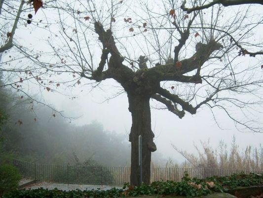 Premi aqui per a veure la imatge a grand�ria completa