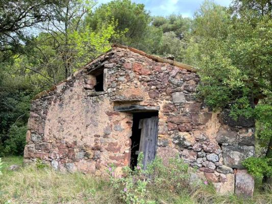 Premi aqui per a veure la imatge a grand�ria completa