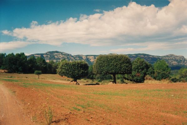 Premi aqui per a veure la imatge a grand�ria completa