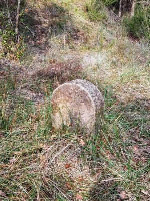 Premi aqui per a veure la imatge a grand�ria completa