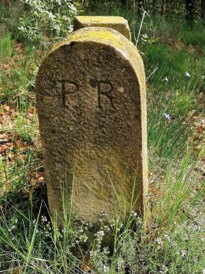 Premi aqui per a veure la imatge a grand�ria completa