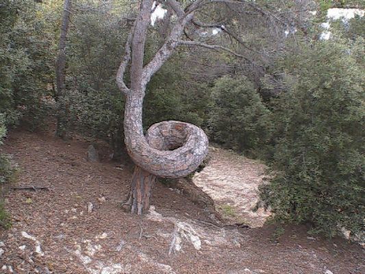 Premi aqui per a veure la imatge a grand�ria completa