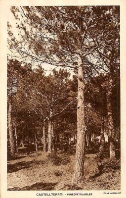 Premi aqui per a veure la imatge a grand�ria completa