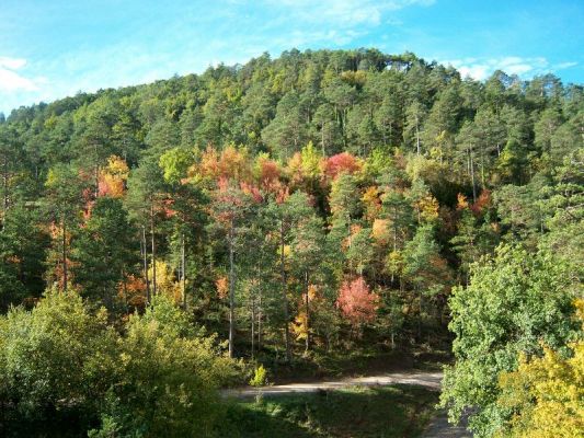 Premi aqui per a veure la imatge a grand�ria completa