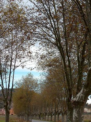 Premi aqui per a veure la imatge a grand�ria completa