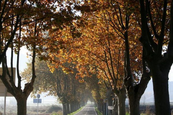 Premi aqui per a veure la imatge a grand�ria completa