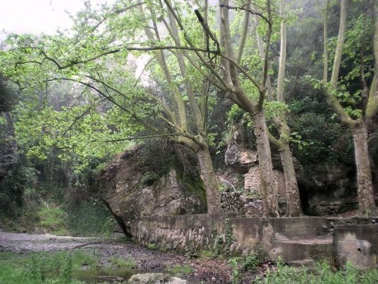 Premi aqui per a veure la imatge a grand�ria completa