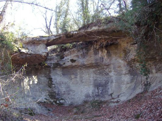 Premi aqui per a veure la imatge a grand�ria completa