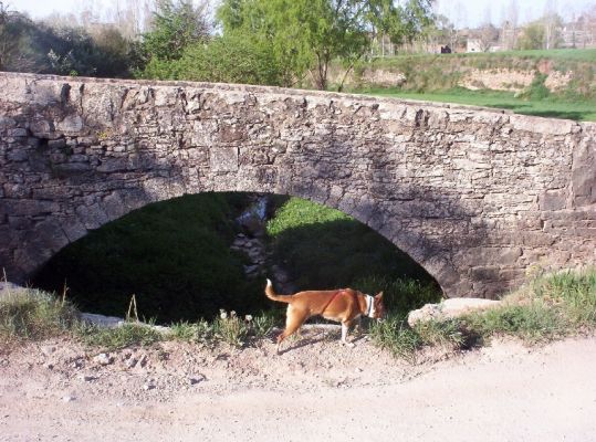 Premi aqui per a veure la imatge a grand�ria completa