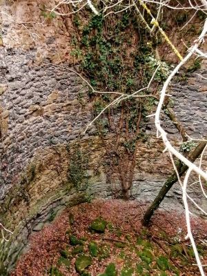 Premi aqui per a veure la imatge a grand�ria completa