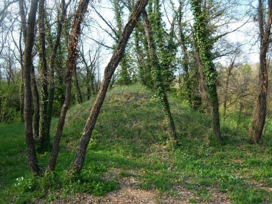 Premi aqui per a veure la imatge a grand�ria completa