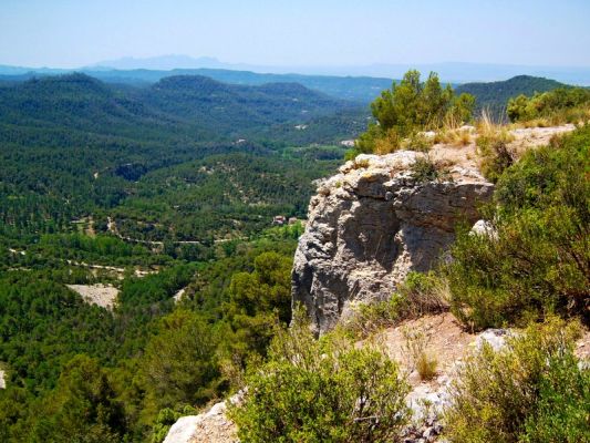 Premi aqui per a veure la imatge a grand�ria completa