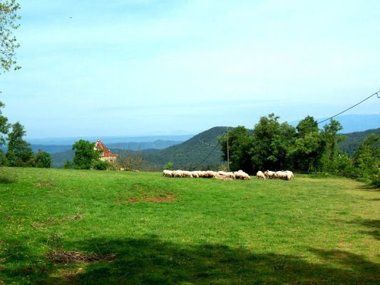 Premi aqui per a veure la imatge a grand�ria completa