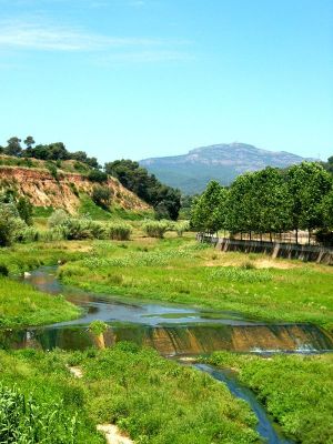 Premi aqui per a veure la imatge a grand�ria completa